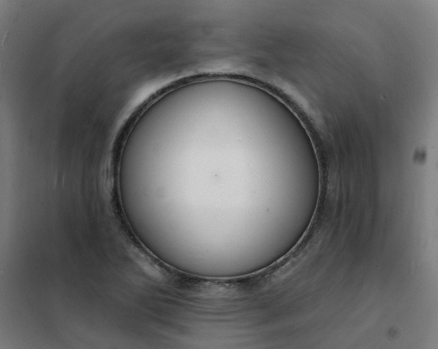 X0000101691270200807241401