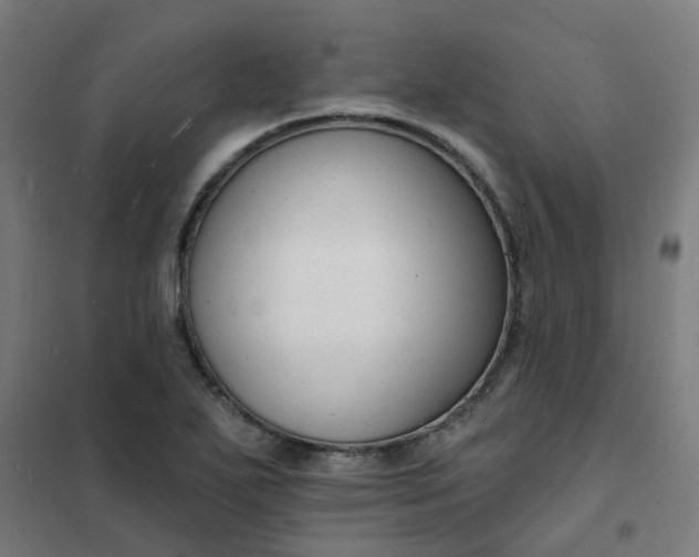 X0000101691271200807241401