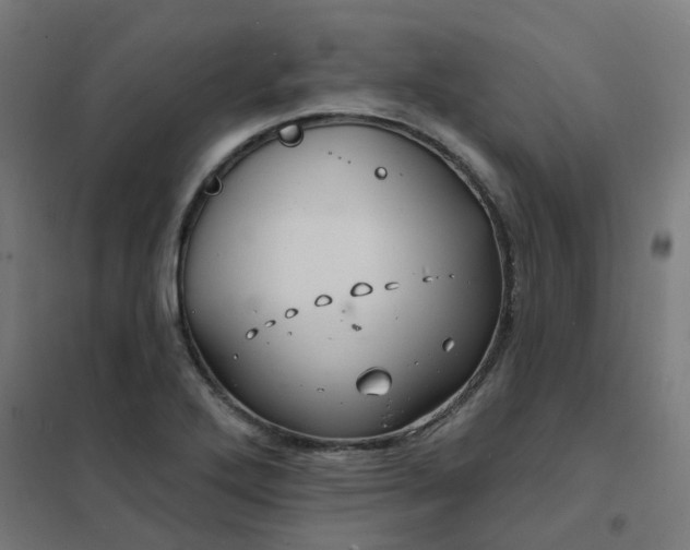 X0000101691272200807241401