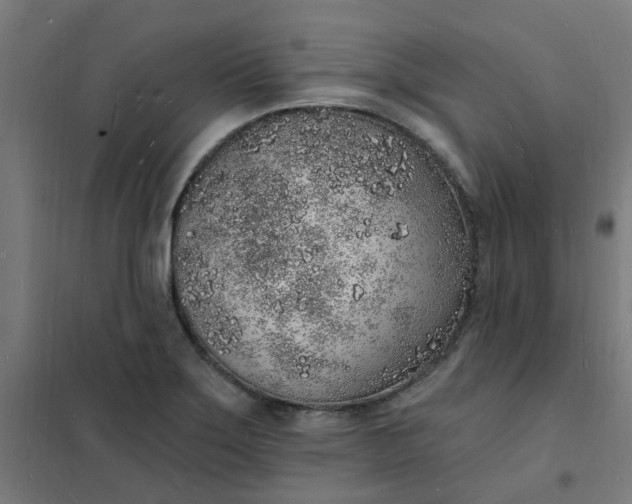 X0000101691275200807241401