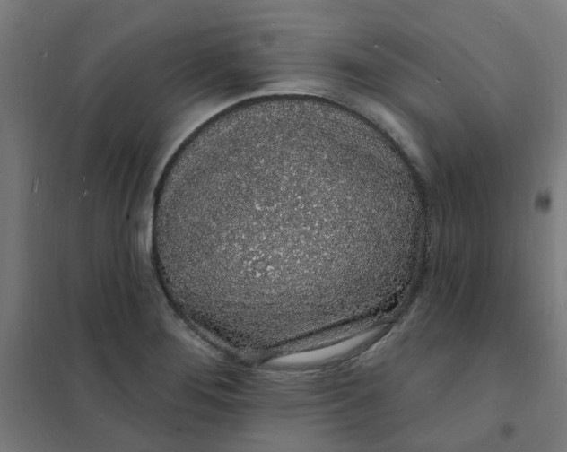 X0000101691276200807241401