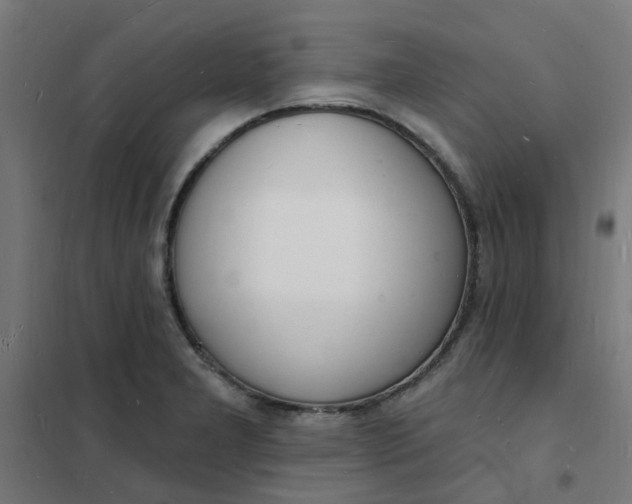 X0000101691277200807241401