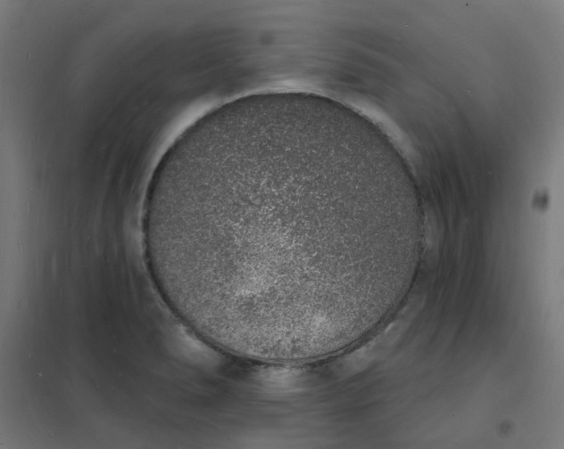 X0000101691278200807241401