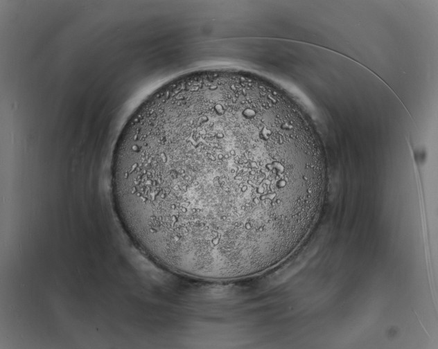 X0000101691279200807241401