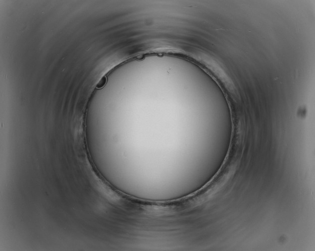 X0000101691281200807241401