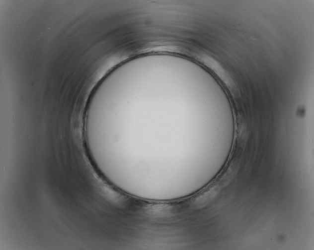 X0000101691282200807241401