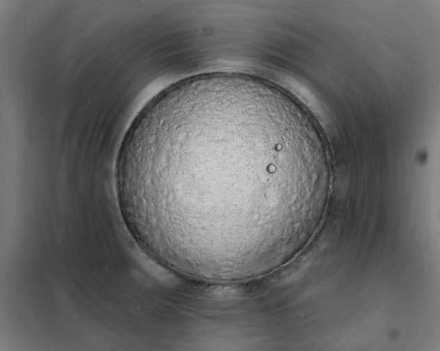 X0000101691283200807241401