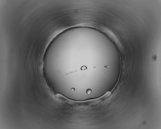 X0000101691284200807241401