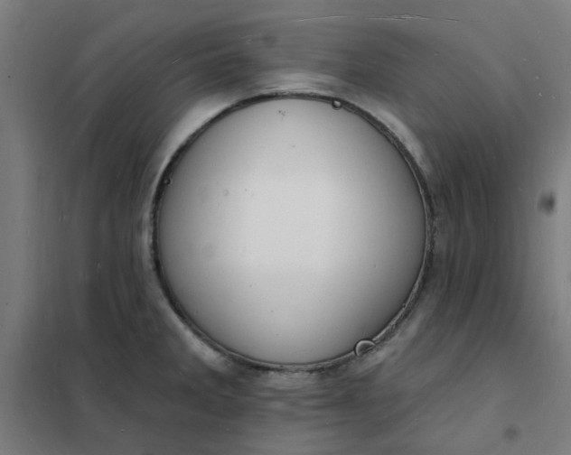 X0000101691285200807241401