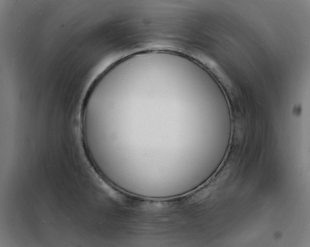 X0000101691286200807241401