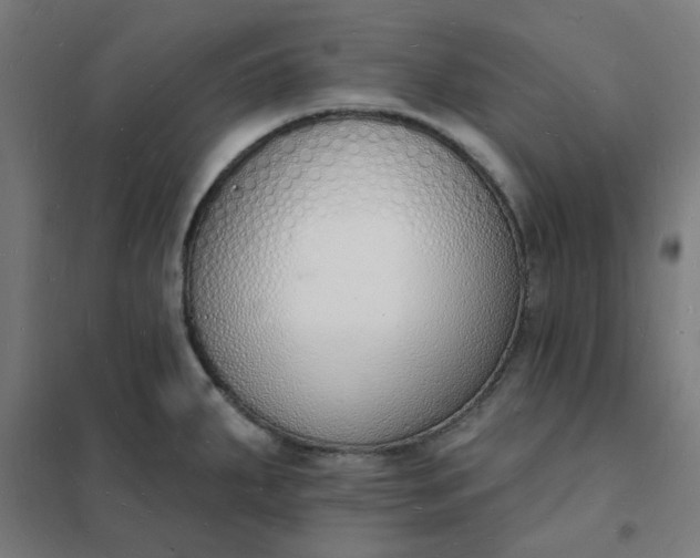 X0000101691287200807241401