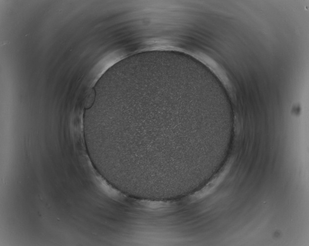 X0000101691289200807241401