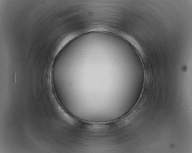 X0000101691290200807241401