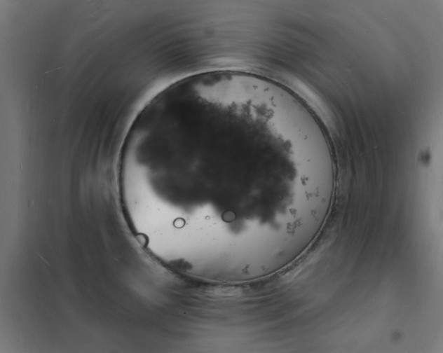 X0000101691291200807241400