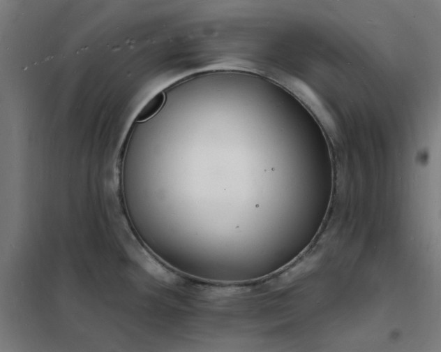 X0000101691292200807241400