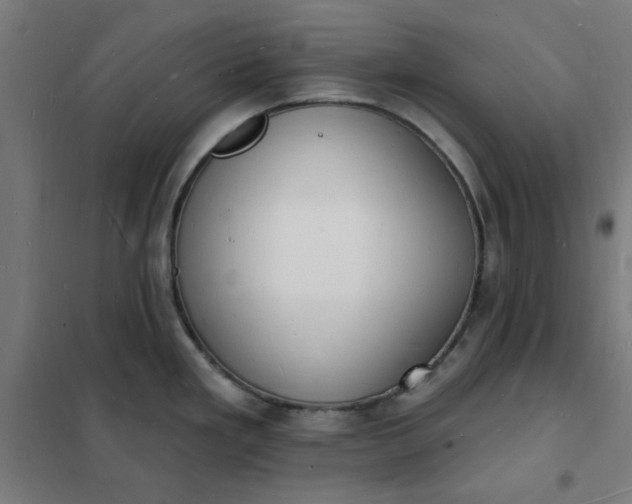 X0000101691293200807241400