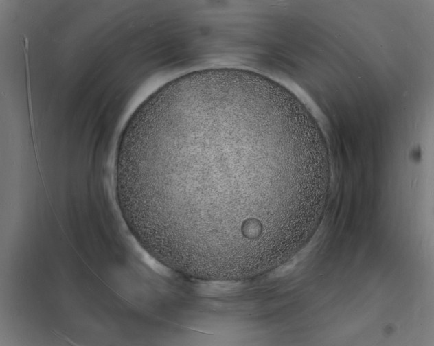 X0000101691294200807241400