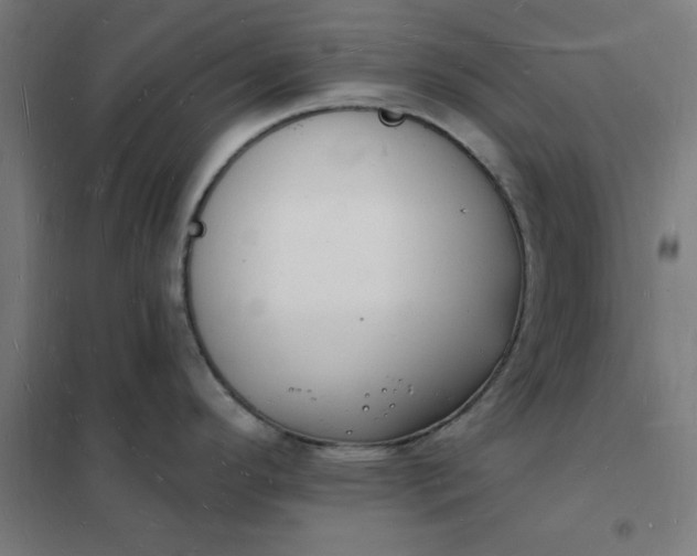 X0000101691296200807241400