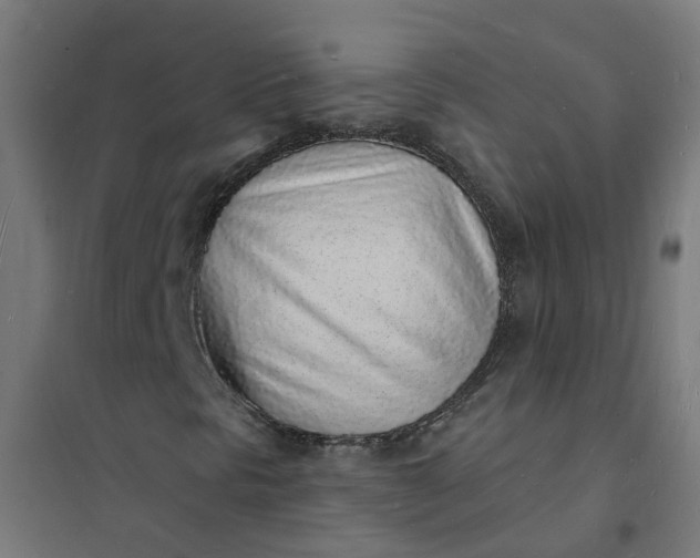 X0000101691297200807241359