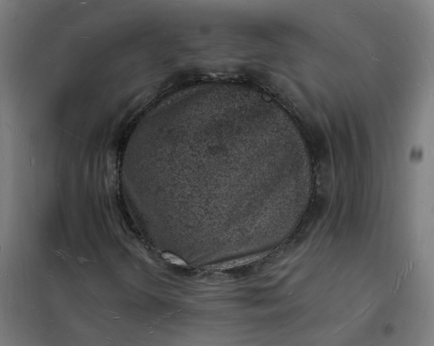 X0000101691298200807241359