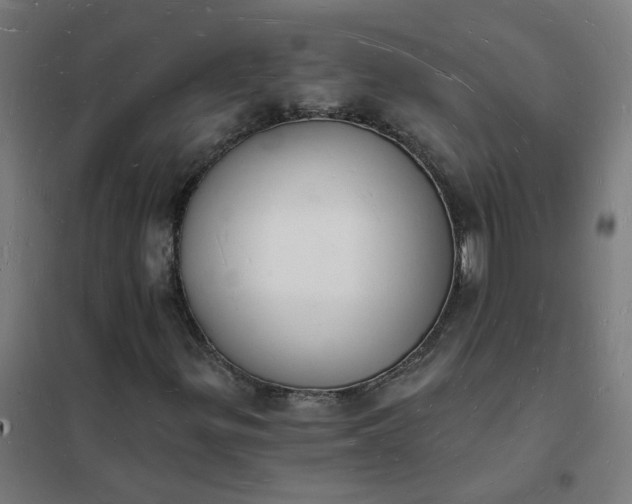 X0000101691299200807241359