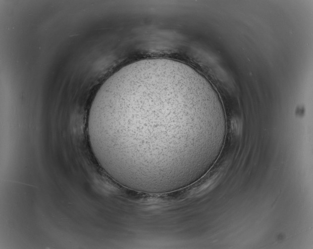 X0000101691300200807241359