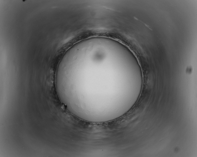 X0000101691301200807241359