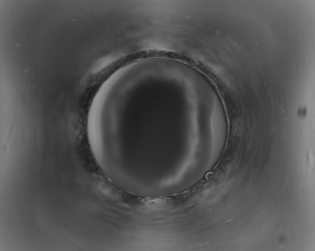 X0000101691303200807241359