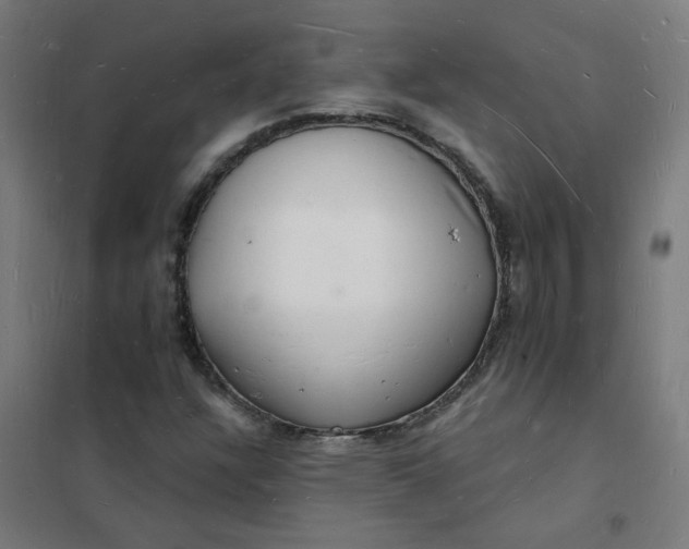 X0000101691304200807241359