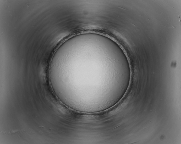 X0000101691305200807241359