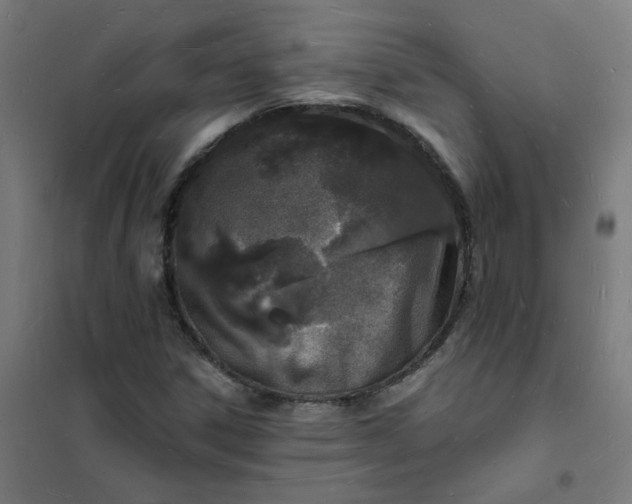 X0000101691306200807241359