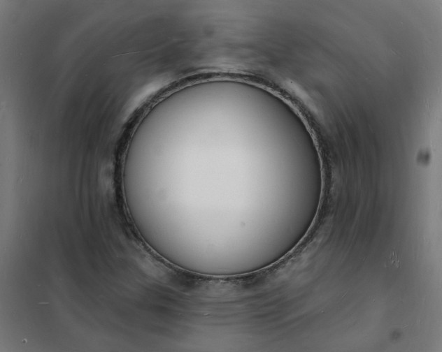 X0000101691307200807241400