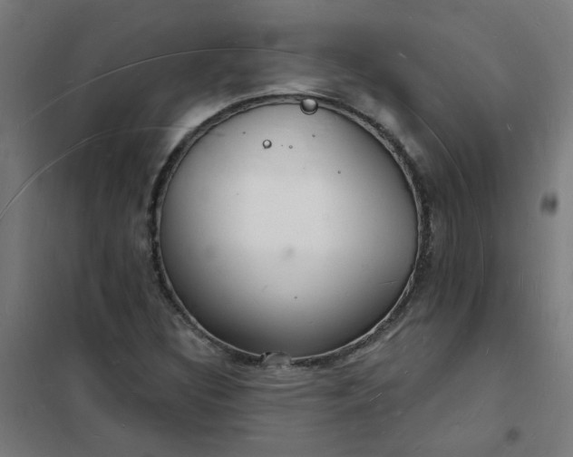 X0000101691308200807241400