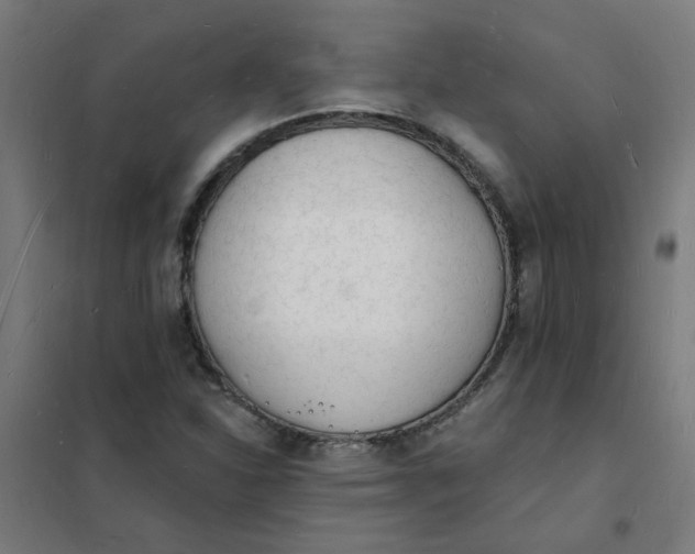 X0000101691310200807241400