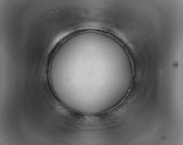 X0000101691312200807241400