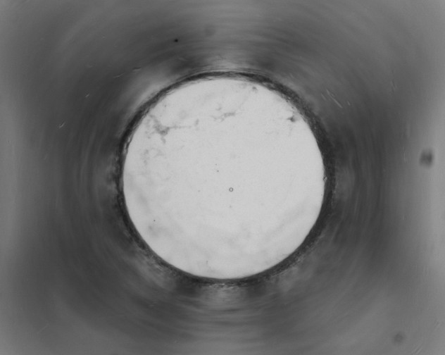 X0000101691314200807241400