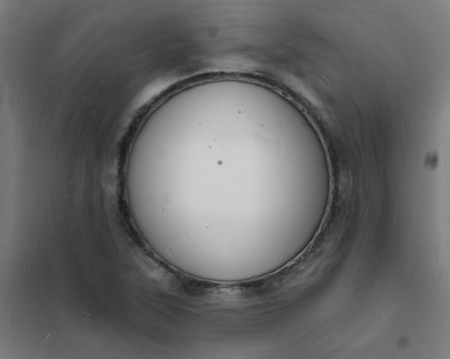 X0000101691315200807241400