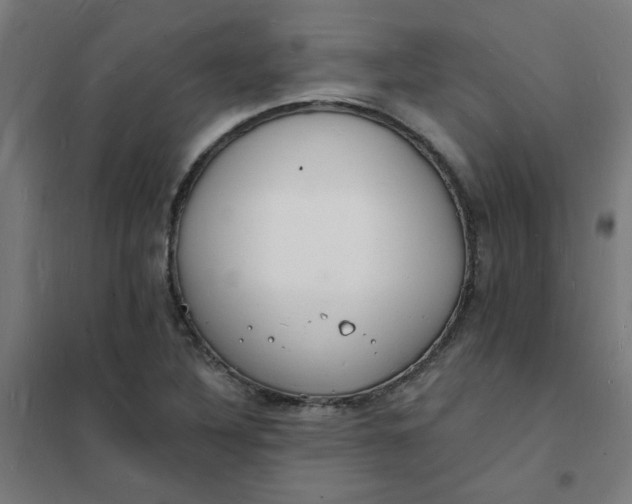 X0000101691316200807241400