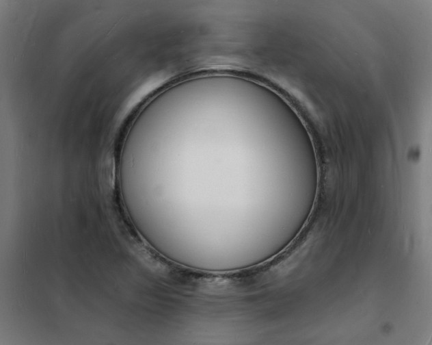 X0000101691317200807241400