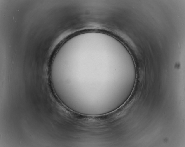 X0000101691318200807241400