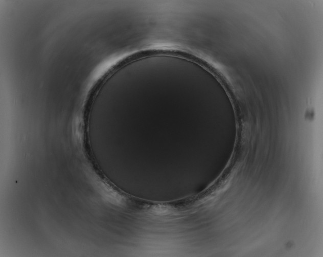 X0000101691319200807241400