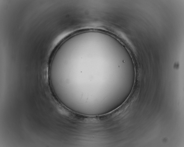 X0000101691320200807241400