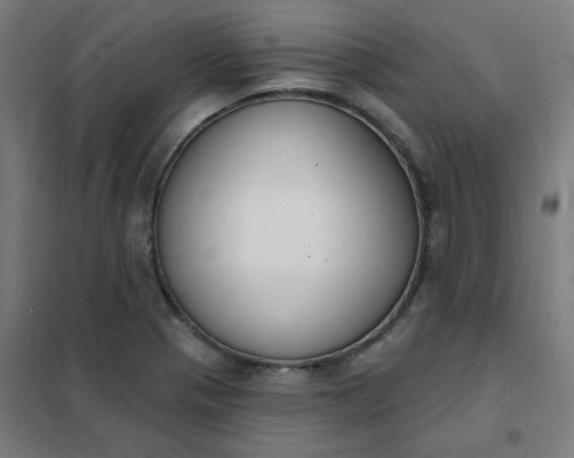 X0000101691321200807241400