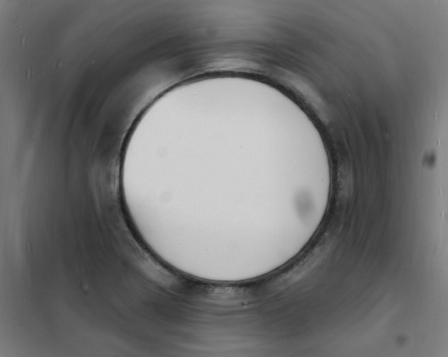 X0000101691322200807241400