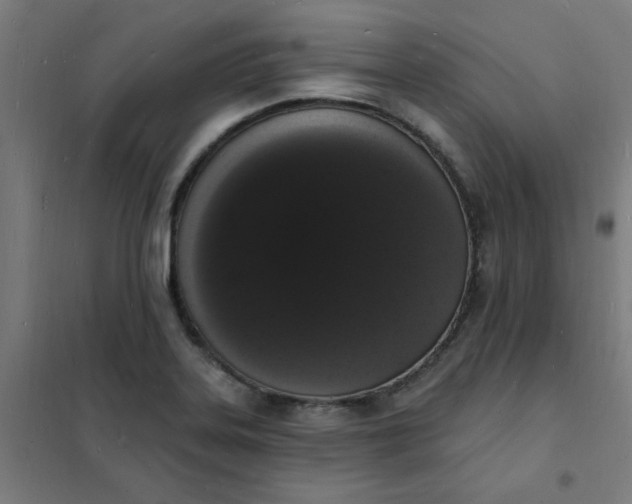 X0000101691323200807241400