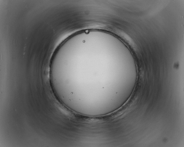 X0000101691324200807241400