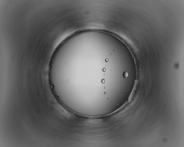 X0000101691325200807241400