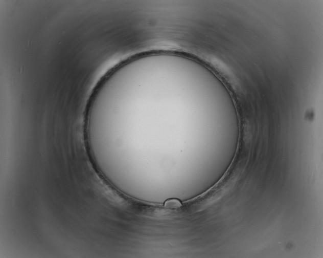 X0000101691326200807241400