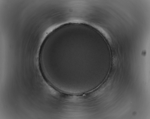 X0000101691327200807241400