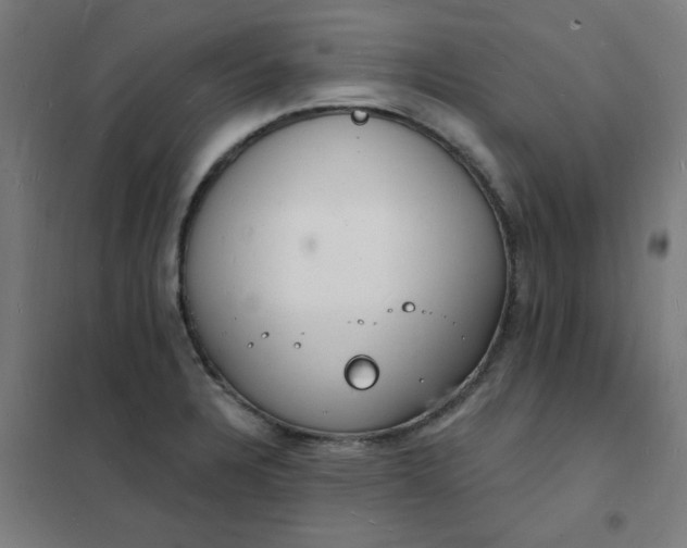 X0000101691328200807241400